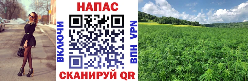Купить наркотики сайты Кириши Марихуана  КОКАИН  ТГК  Alpha-PVP  мега ТОР  Гашиш  МЕТАМФЕТАМИН  Меф мяу мяу 