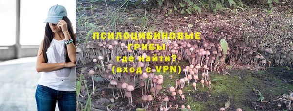 PSILOCYBIN Богородицк