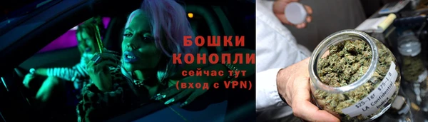 PSILOCYBIN Богородицк