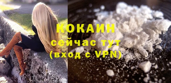 PSILOCYBIN Богородицк
