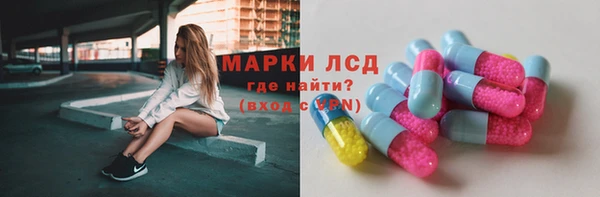 амф Бородино