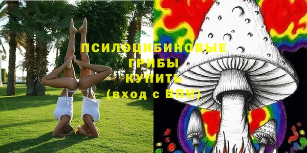 не бодяженный Богданович