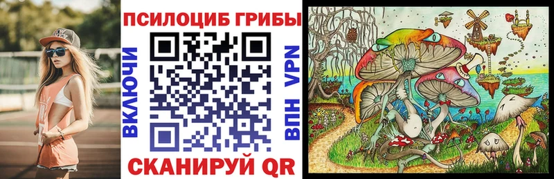 купить наркоту  Кириши  Галлюциногенные грибы мицелий 